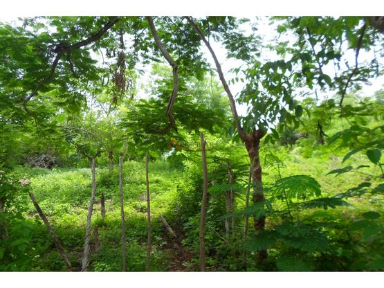 LOTE EN VENTA, TURBACO - CARTAGENA
