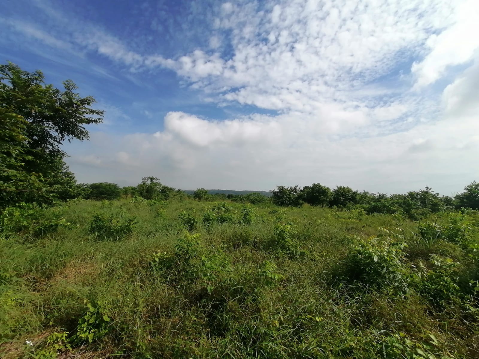 LOTE EN VENTA TURBANA  - BOLIVAR