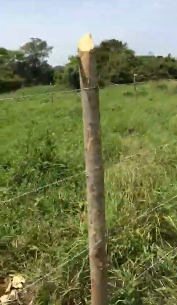 LOTE EN PARQUE INDUSTRIAL BAYUNCA VENPERMUTO - CARTAGENA