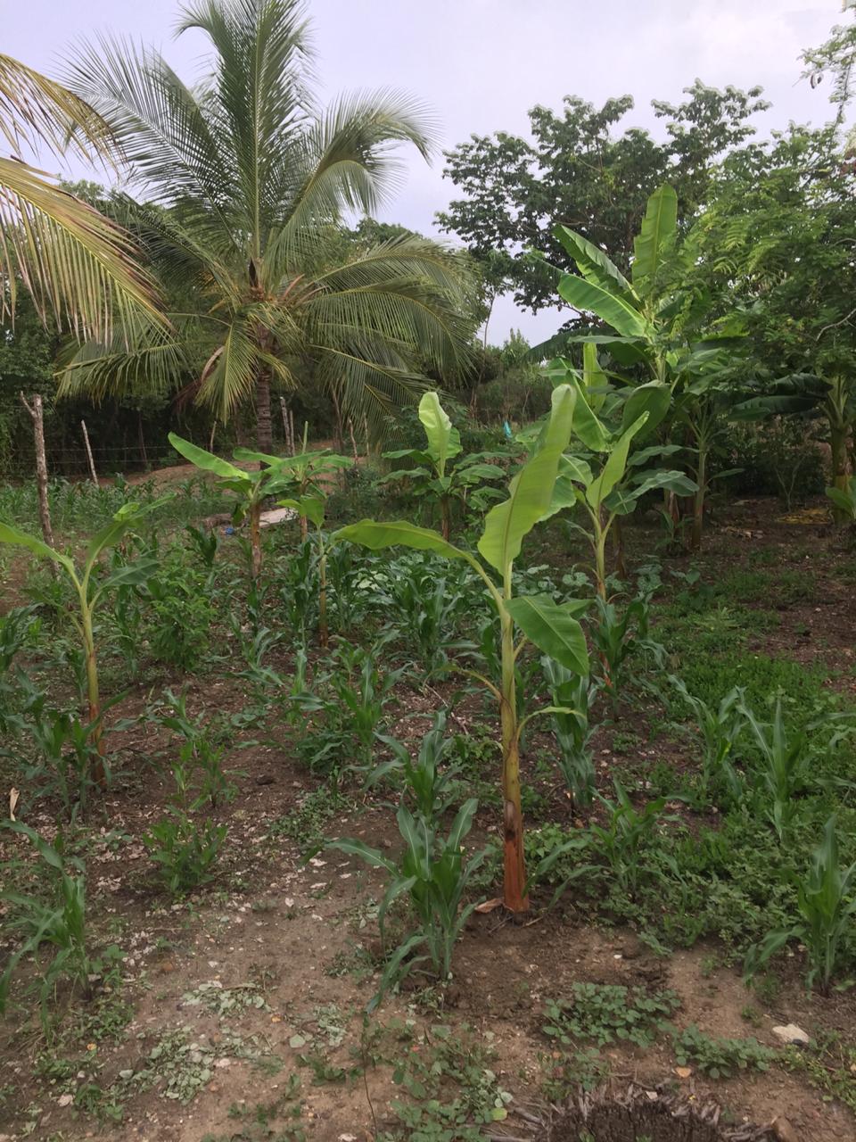 LOTE EN VENTA  LA BOQUILLA - CARTAGENA