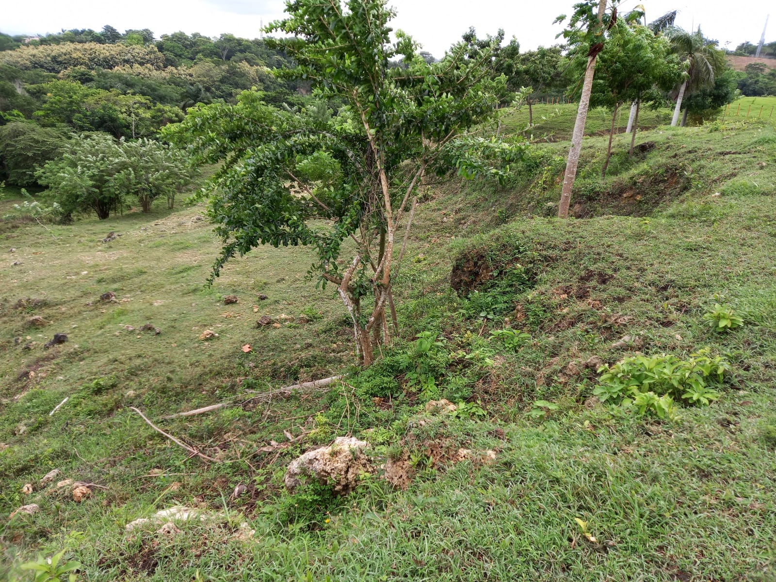 LOTE EN VENTA TURBACO - CARTAGENA