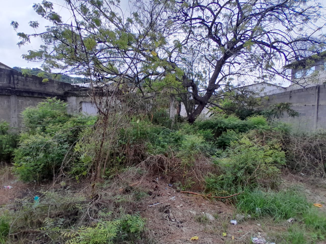 LOTE EN VENTA, LO AMADOR - CARTAGENA