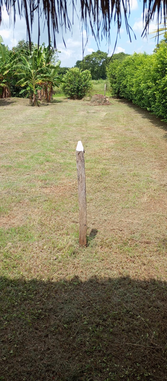 LOTE EN VENTA SANTA ROSA - CARTAGENA