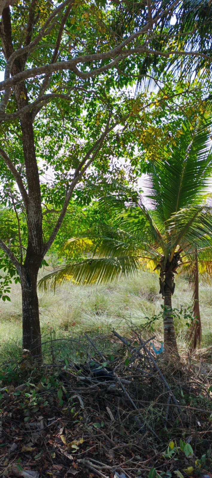 CASA EN VENTA BARU - CARTAGENA
