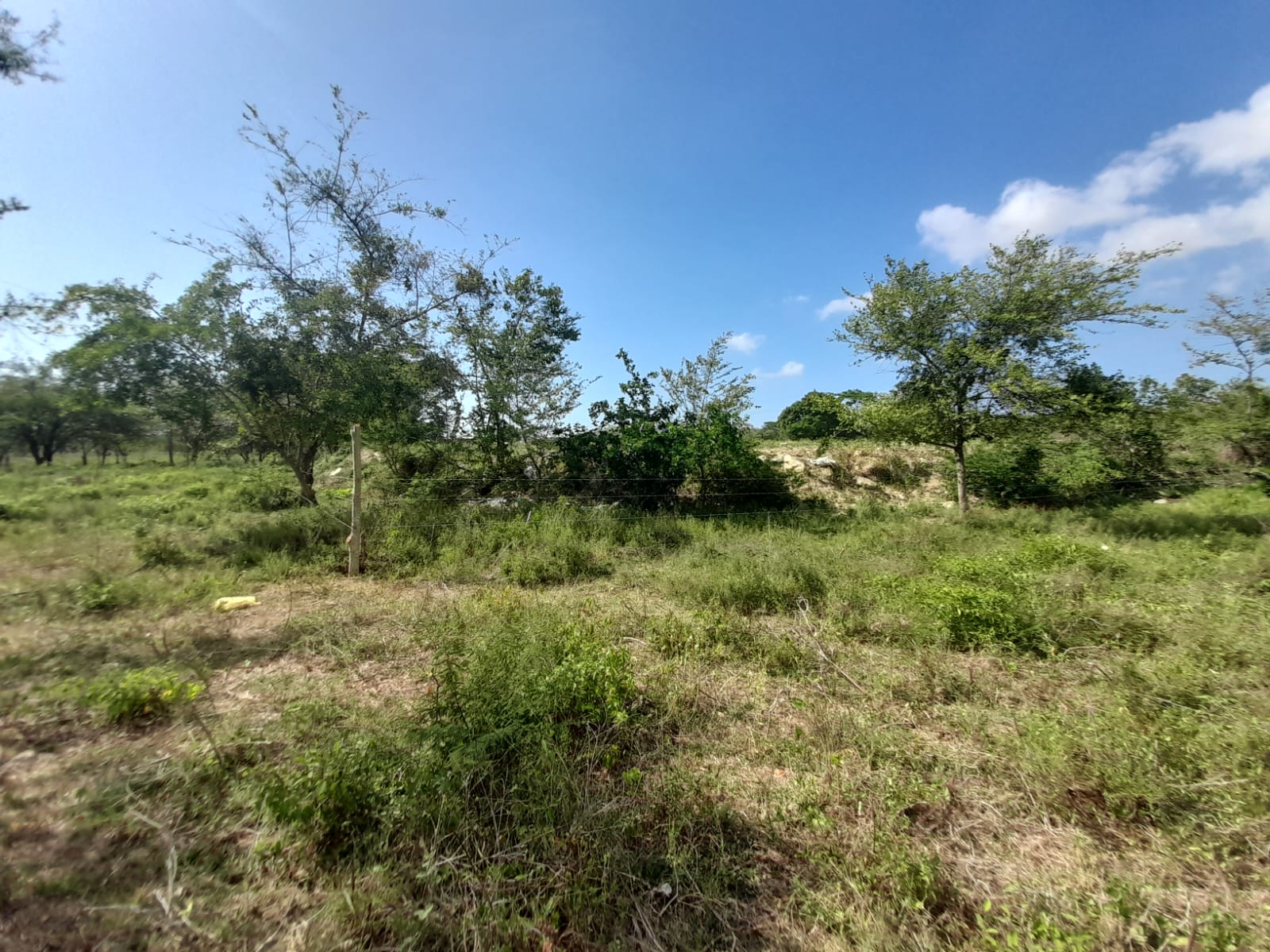 LOTE EN VENTA VARIANTE VÌA MAMONAL - CARTAGENA