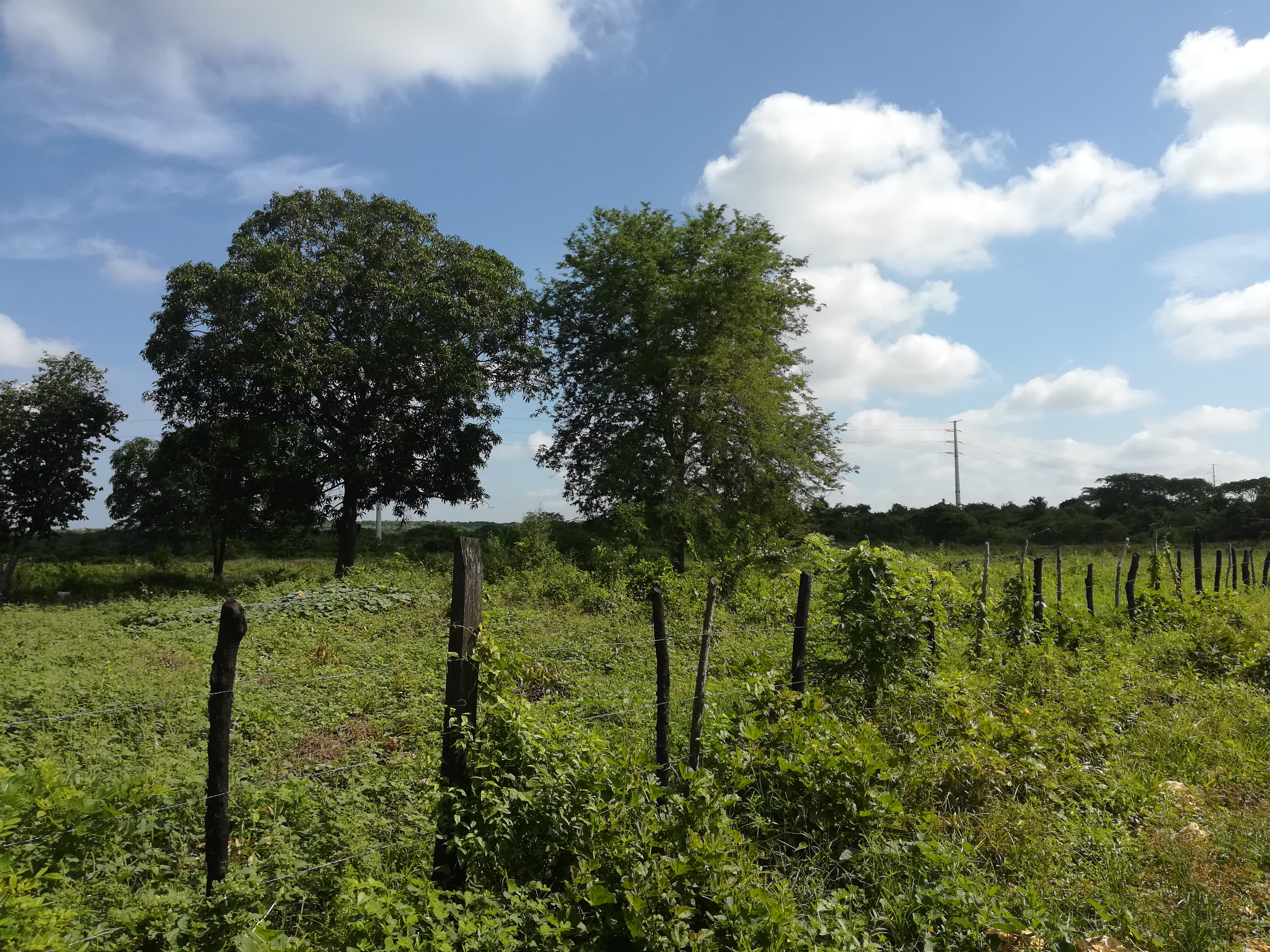 Cartagena Venta de Lote Mamonal