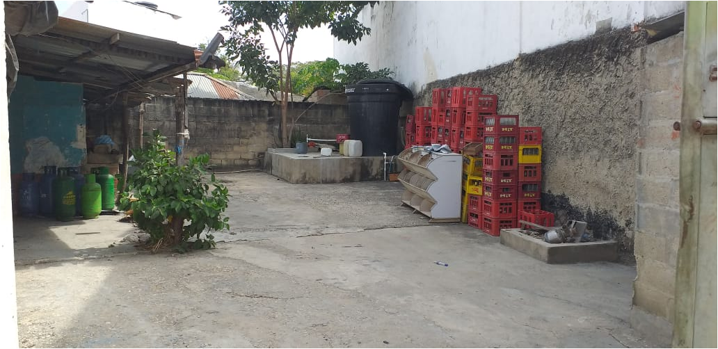 Turbana Venta Casalote Turbana