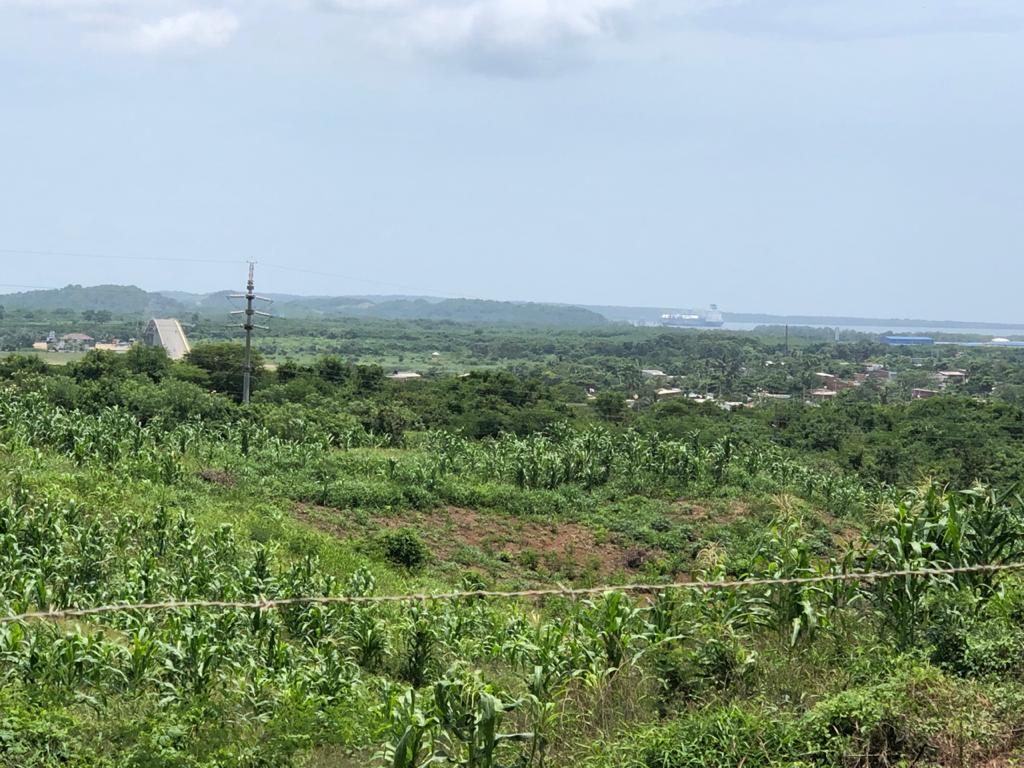 Cartagena Venta Lote Mamonal