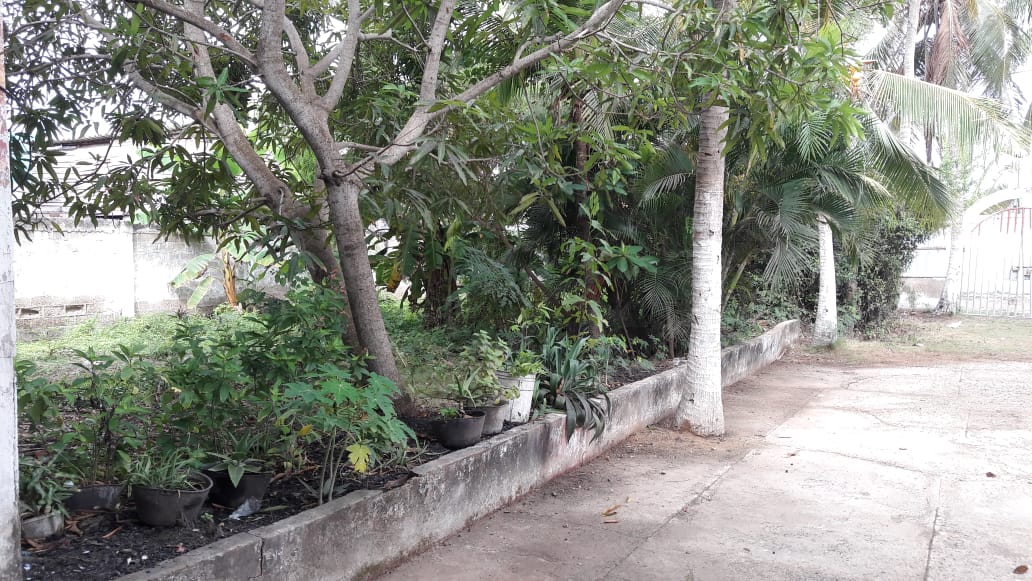Cartagena Venta Lote Boquilla