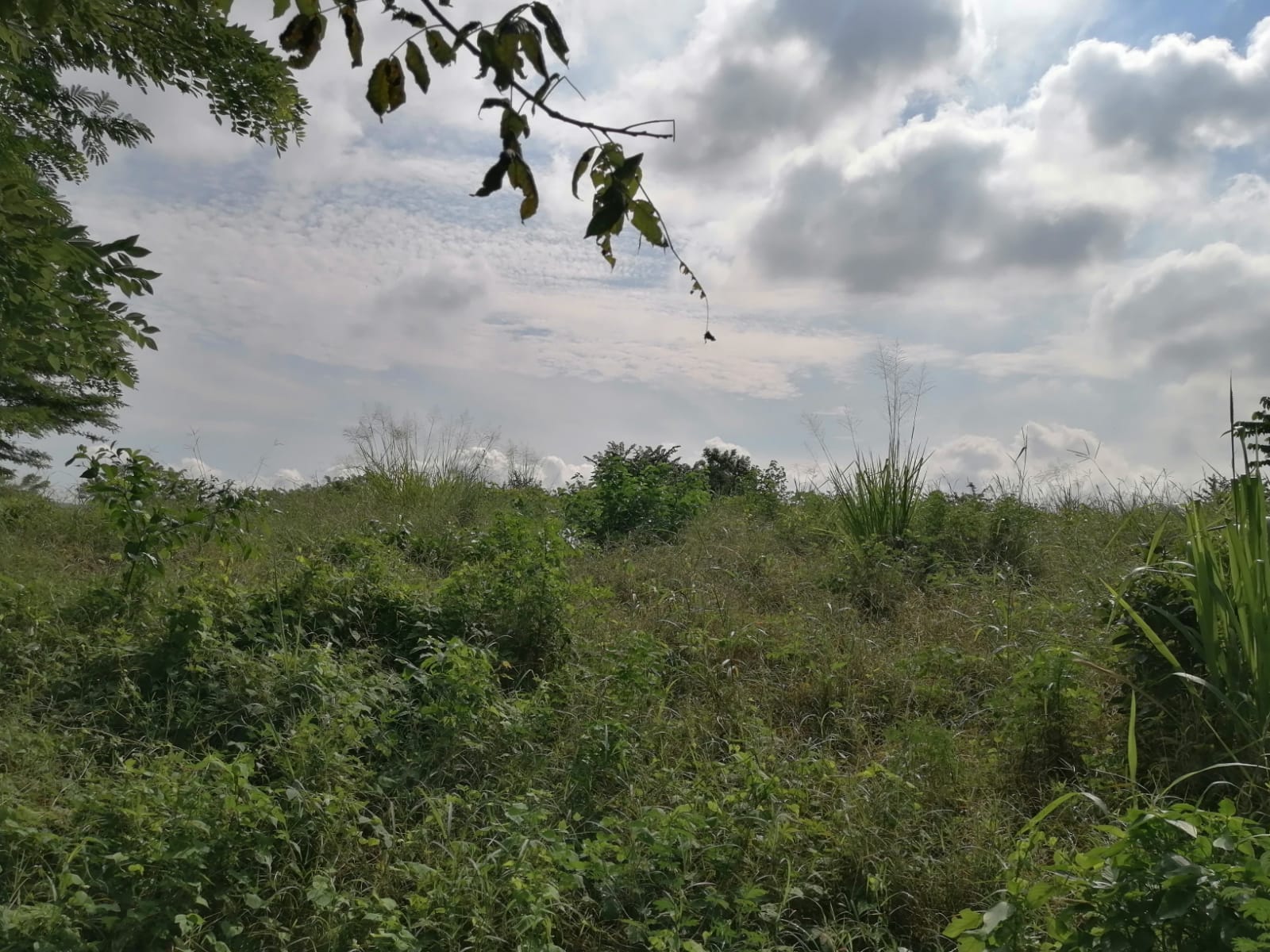 LOTE EN VENTA TURBANA  - BOLIVAR