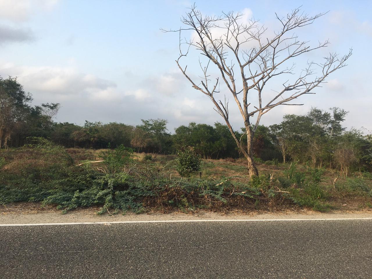 LOTE EN VENTA  MANZANILLO
