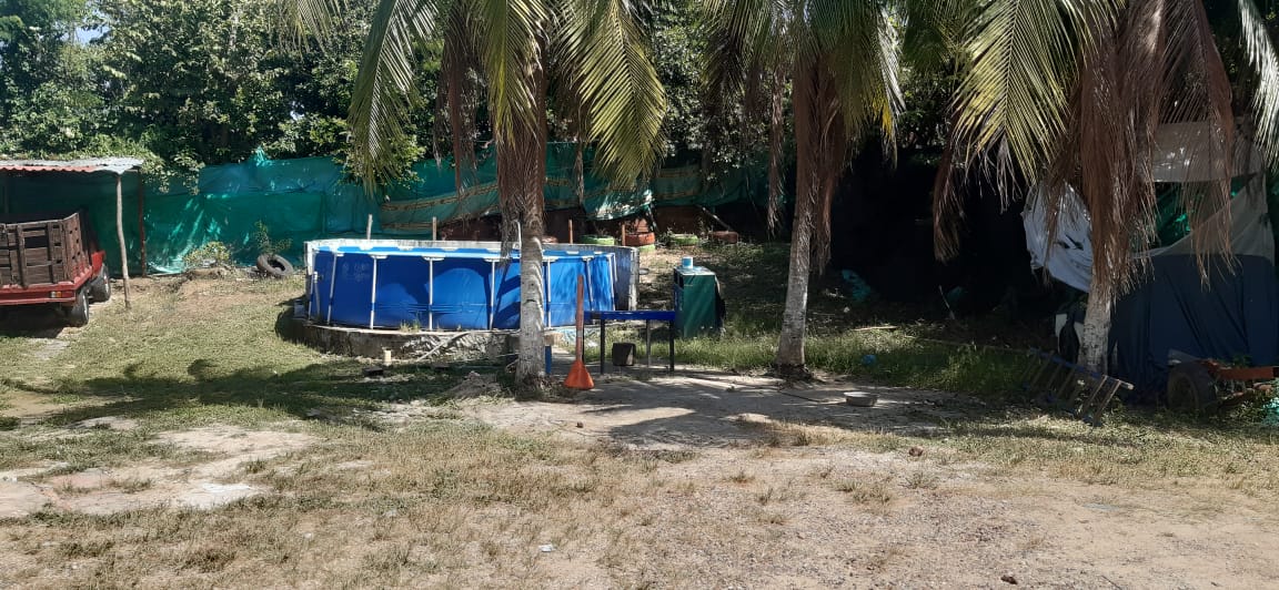 LOTE EN VENTA MEMBRILLAL - CARTAGENA