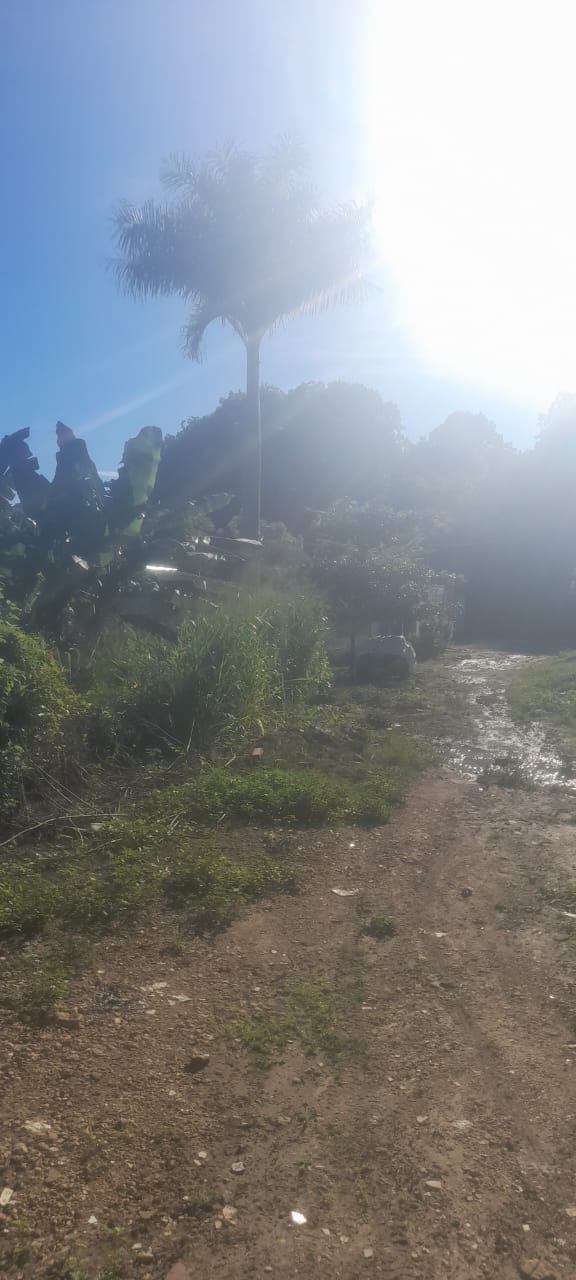 LOTE NE ARRIENDO, TURBACO - CARTAGENA