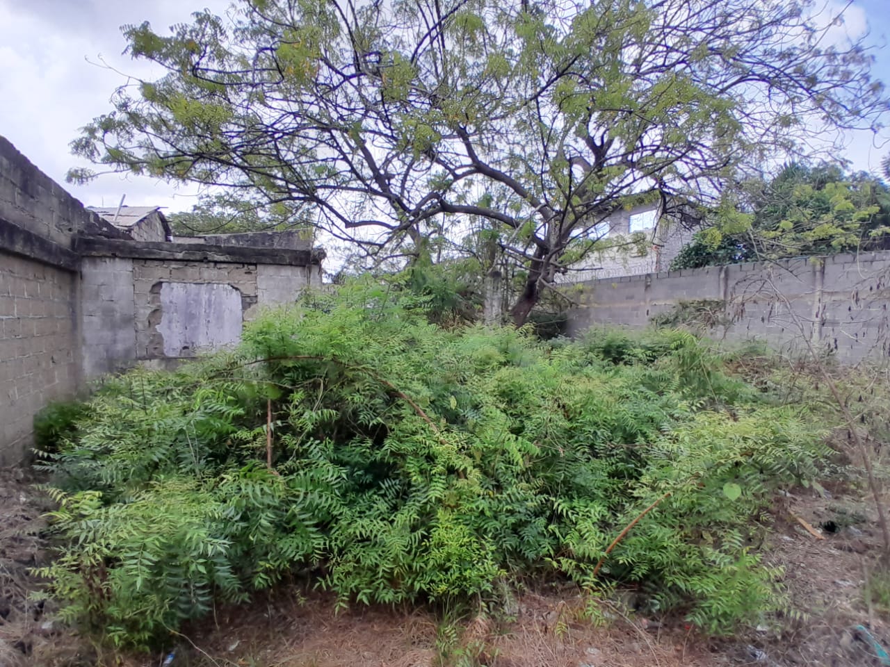 LOTE EN VENTA, LO AMADOR - CARTAGENA