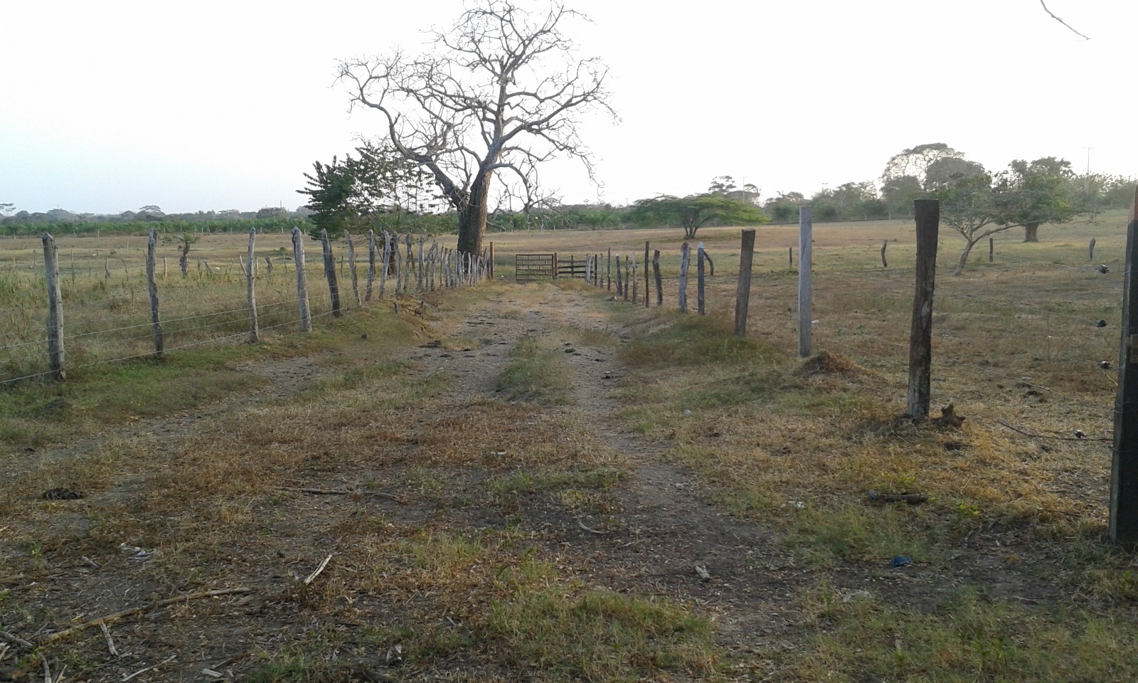 FINCA EN ARRIENDO MAHATES - CARTAGENA