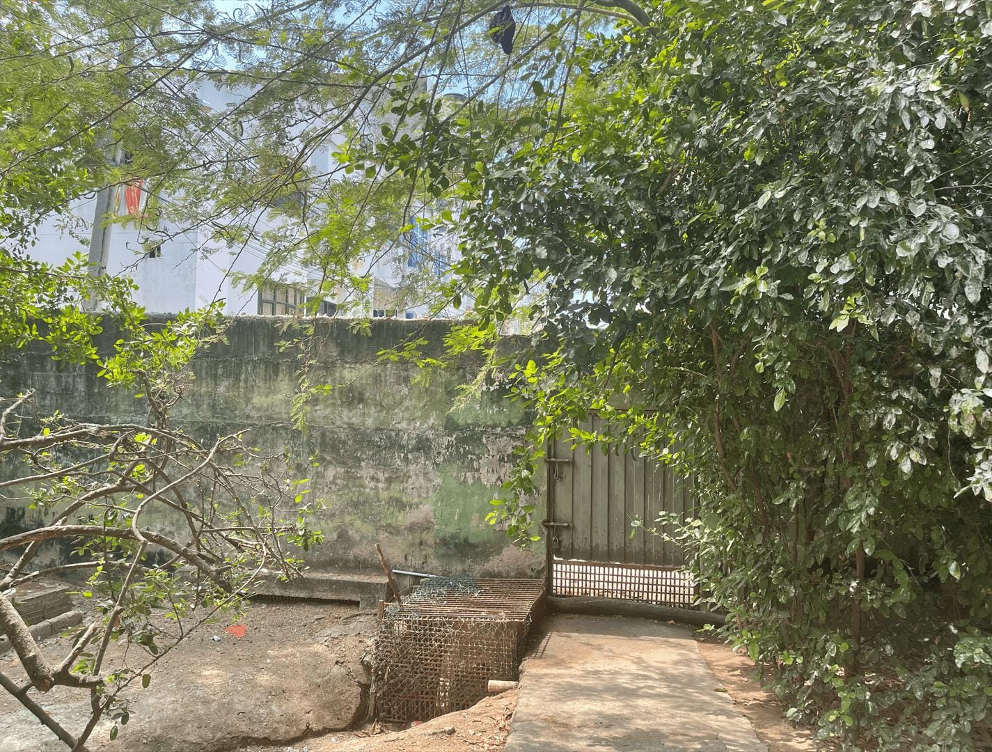 LOTE EN ARRIENDO 13 DE JUNIO - CARTAGENA