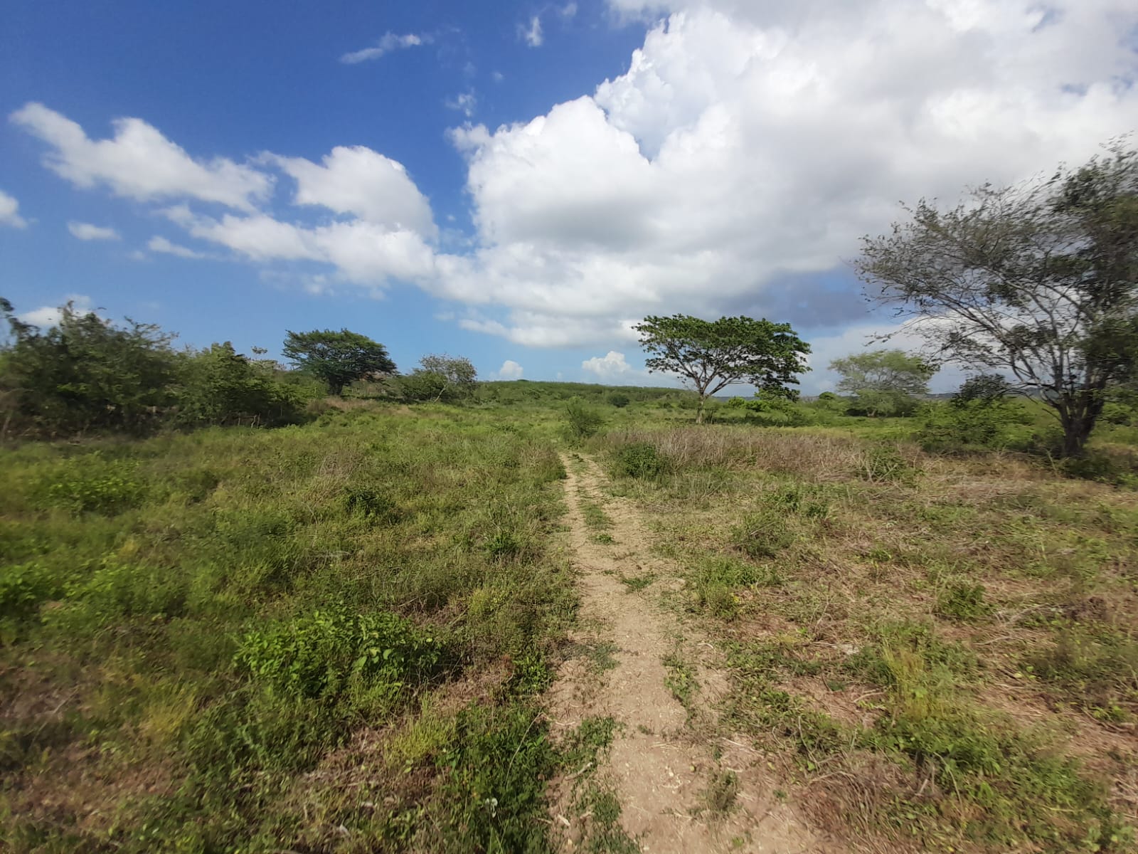 LOTE EN VENTA VARIANTE VÌA MAMONAL - CARTAGENA
