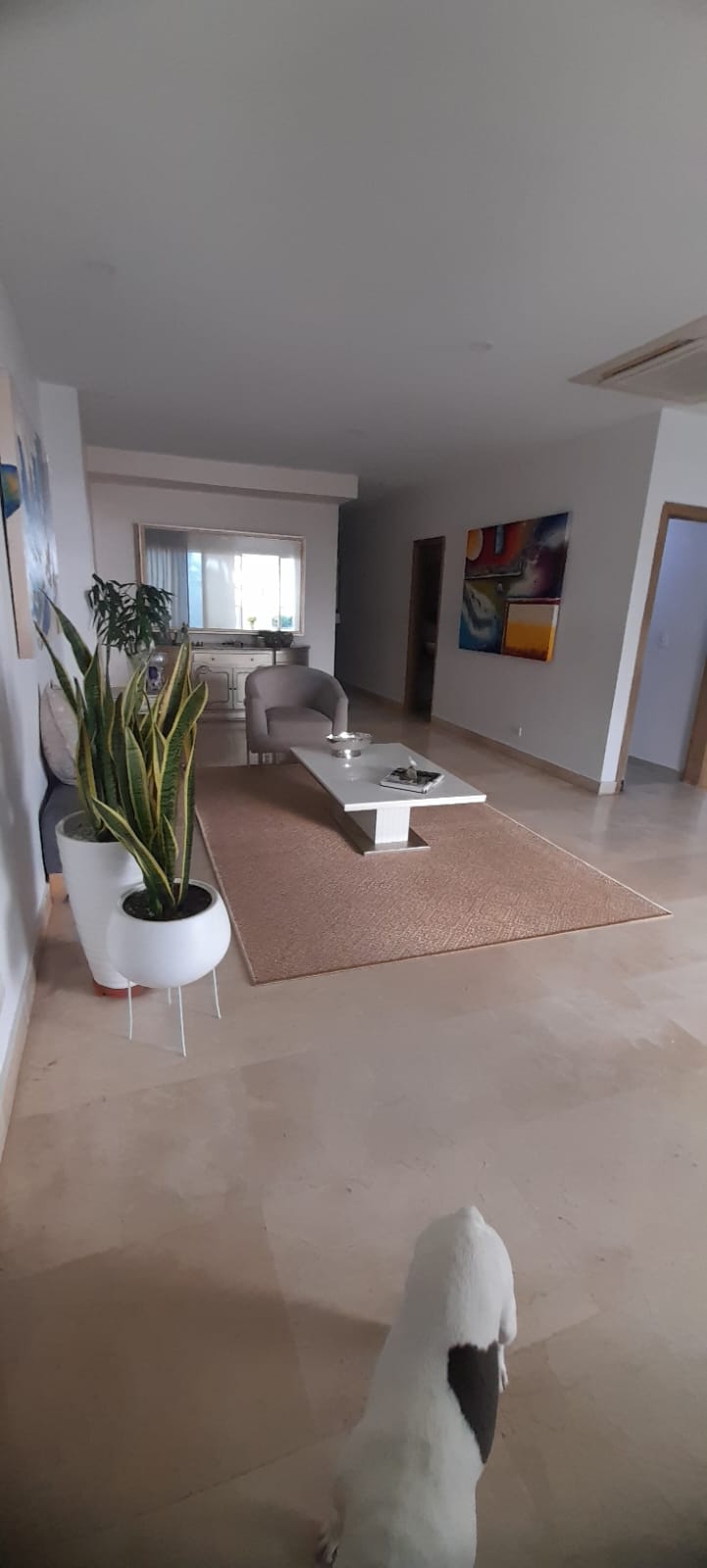 ARRIENDO APARTAMENTO EN BOCAGRANDE
