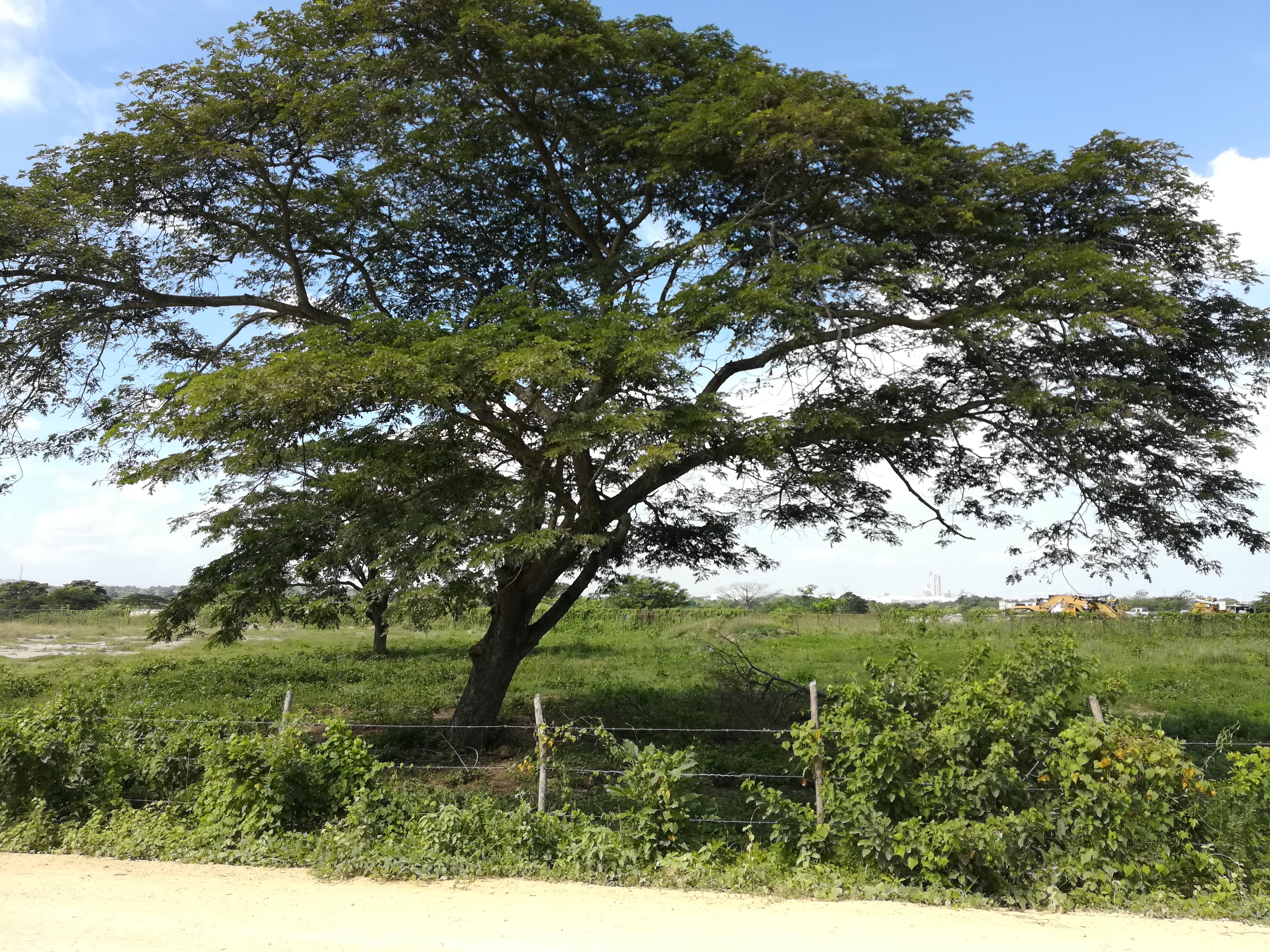 Cartagena Venta de Lote Mamonal