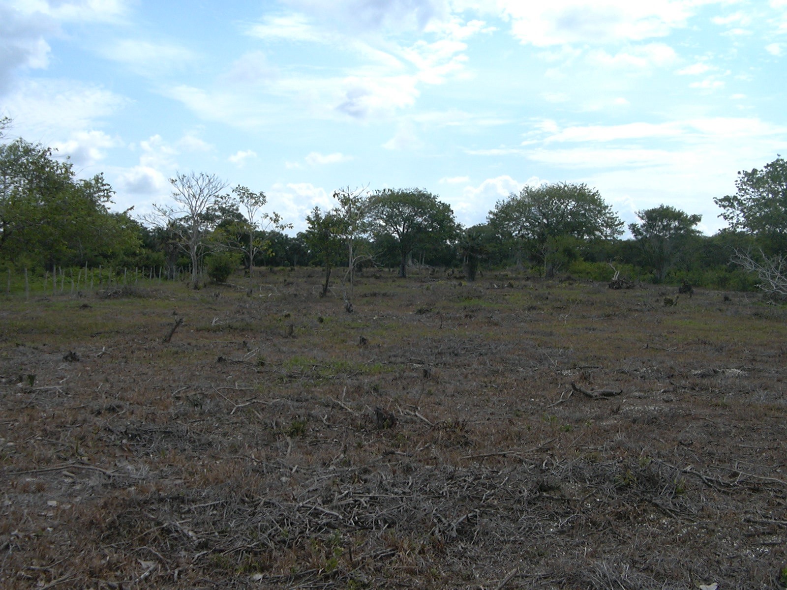 Cartagena Venta de Lote Manzanillo del Mar