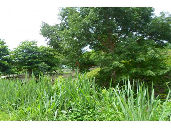 LOTE EN VENTA, TURBACO - CARTAGENA