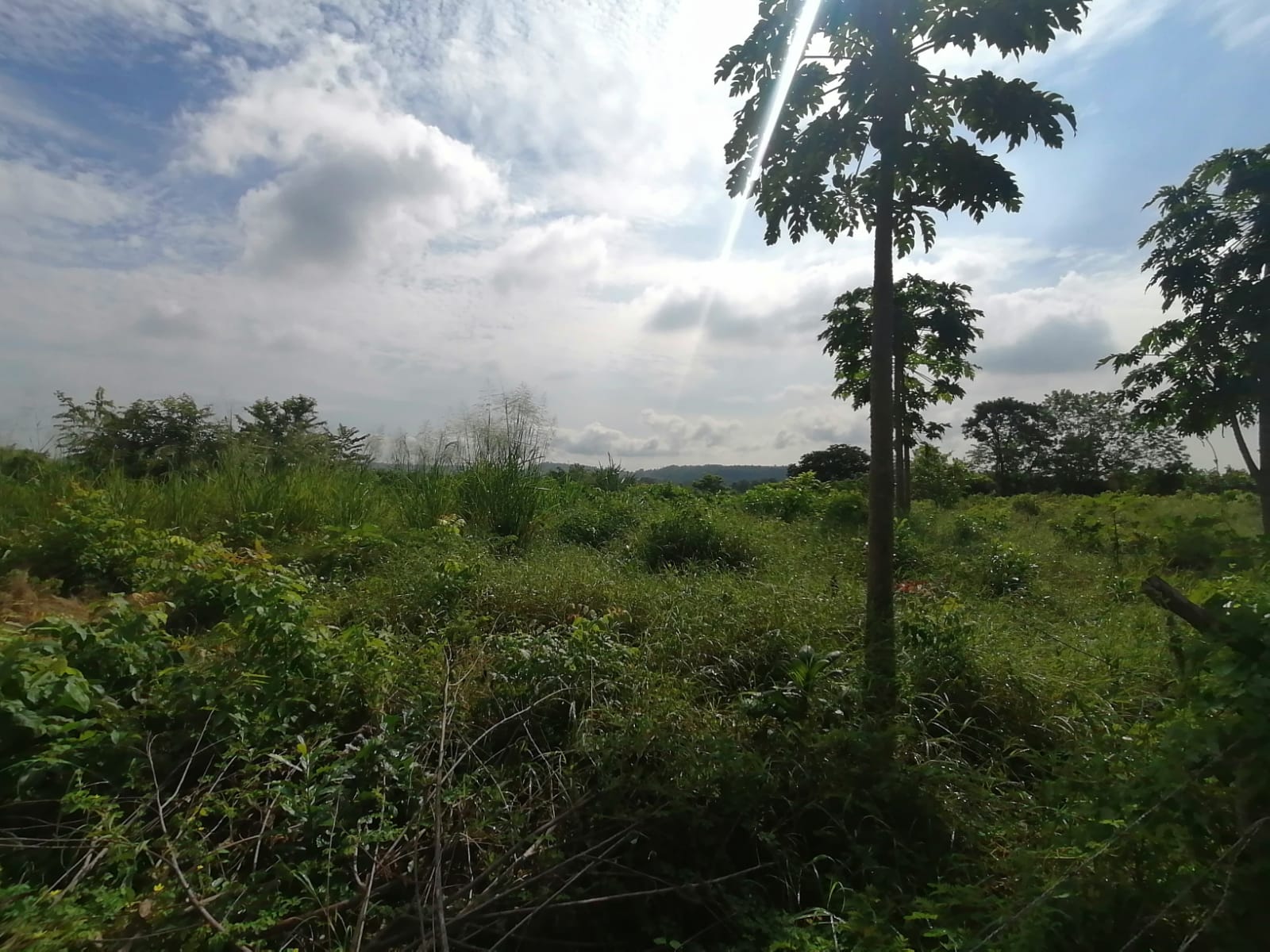 LOTE EN VENTA TURBANA  - BOLIVAR