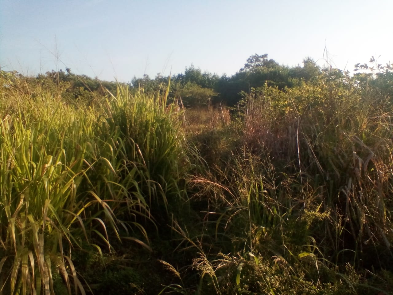 LOTE EN VENTA ZONA NORTE - CARTAGENA