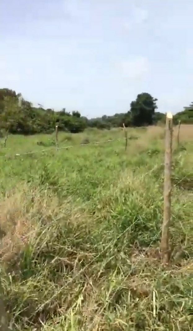 LOTE EN PARQUE INDUSTRIAL BAYUNCA VENPERMUTO - CARTAGENA