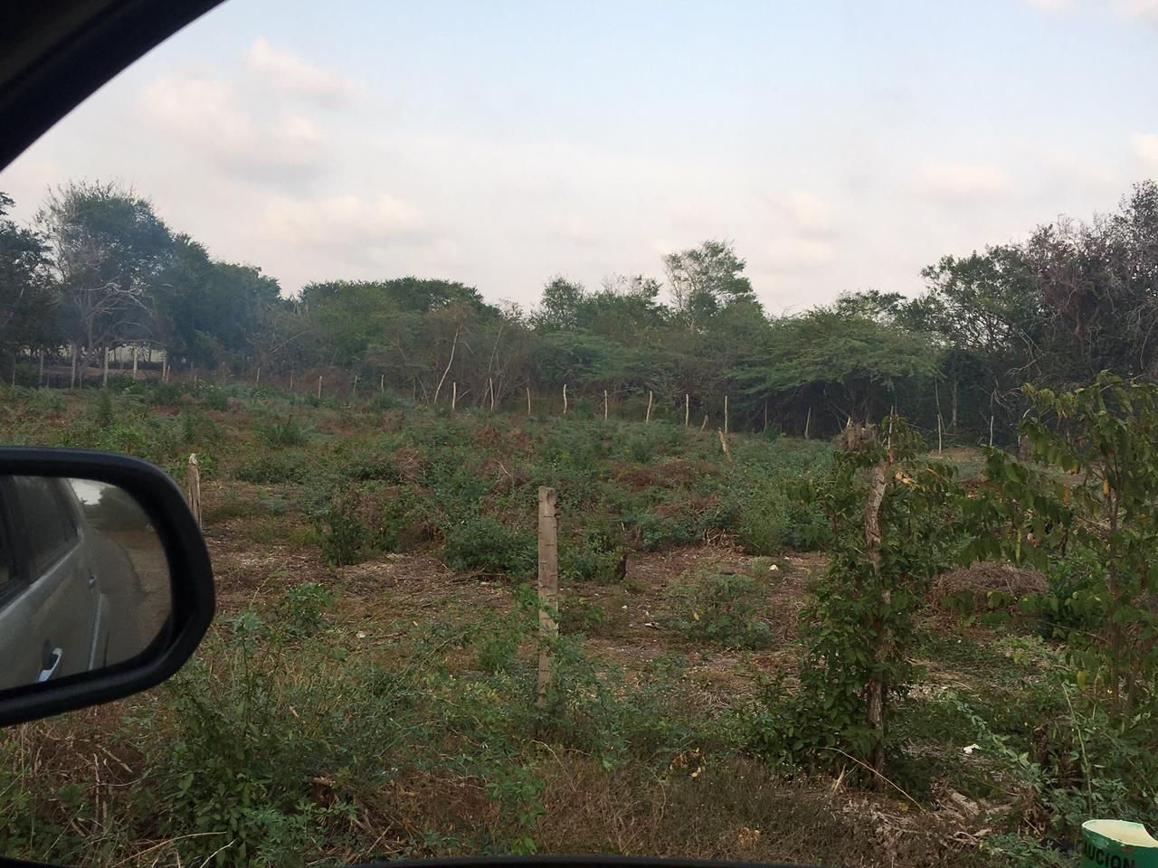 LOTE EN VENTA  MANZANILLO