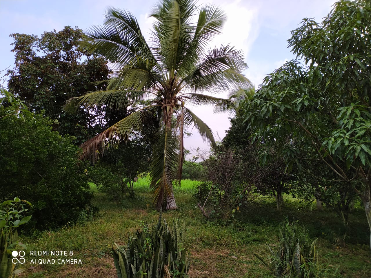 FINCA EN VENTA, GAMBOTE - CARTAGENA