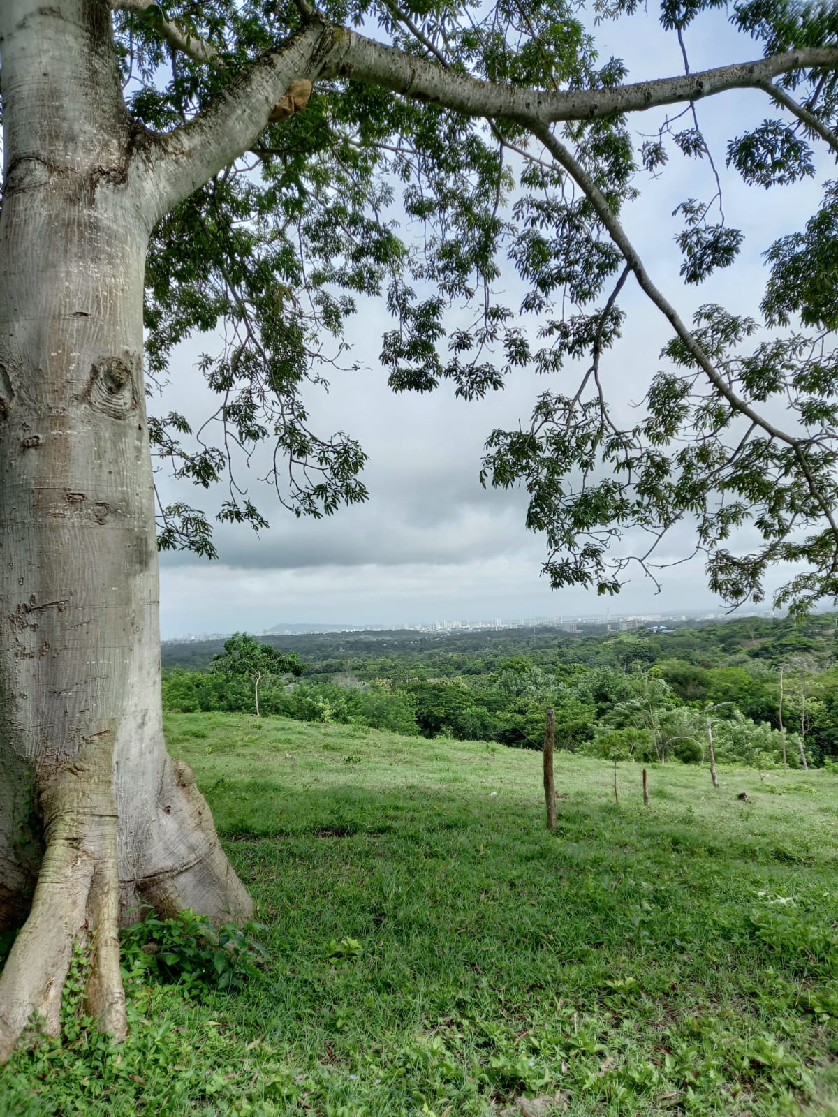 LOTE EN VENTA TURBACO - CARTAGENA