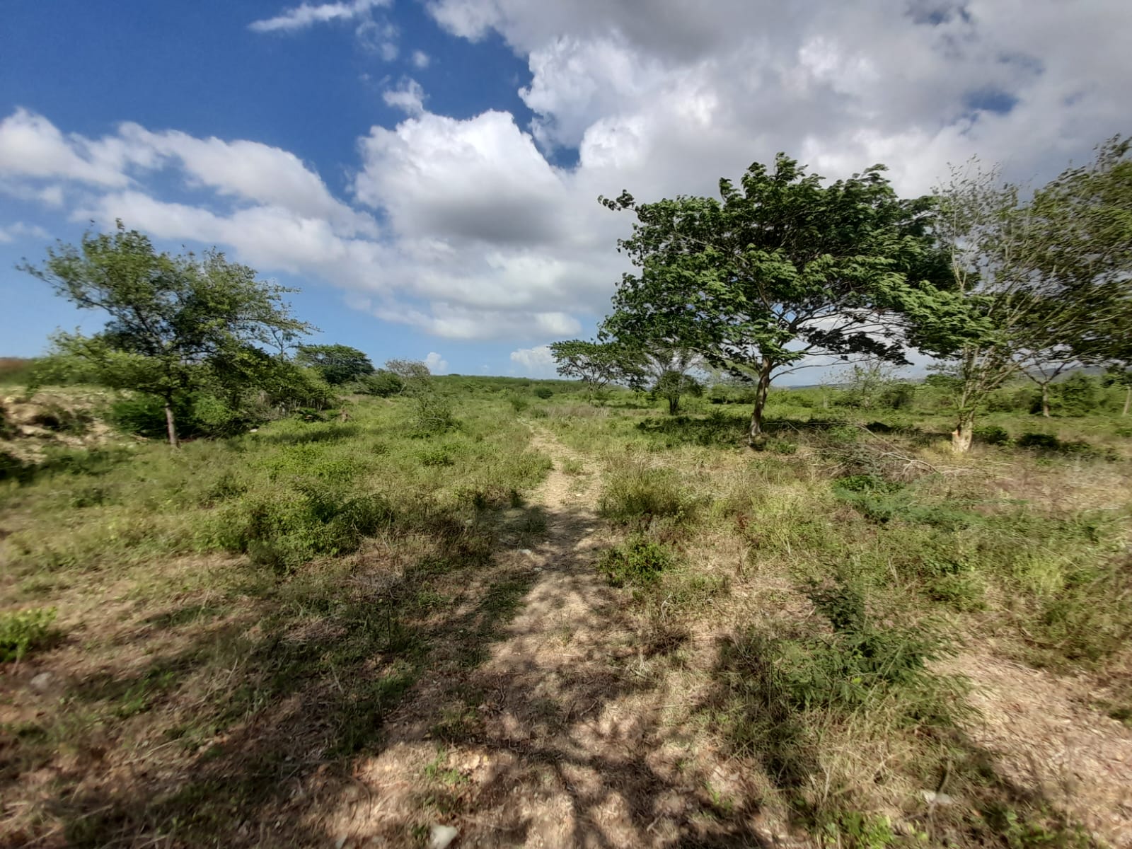 LOTE EN VENTA VARIANTE VÌA MAMONAL - CARTAGENA
