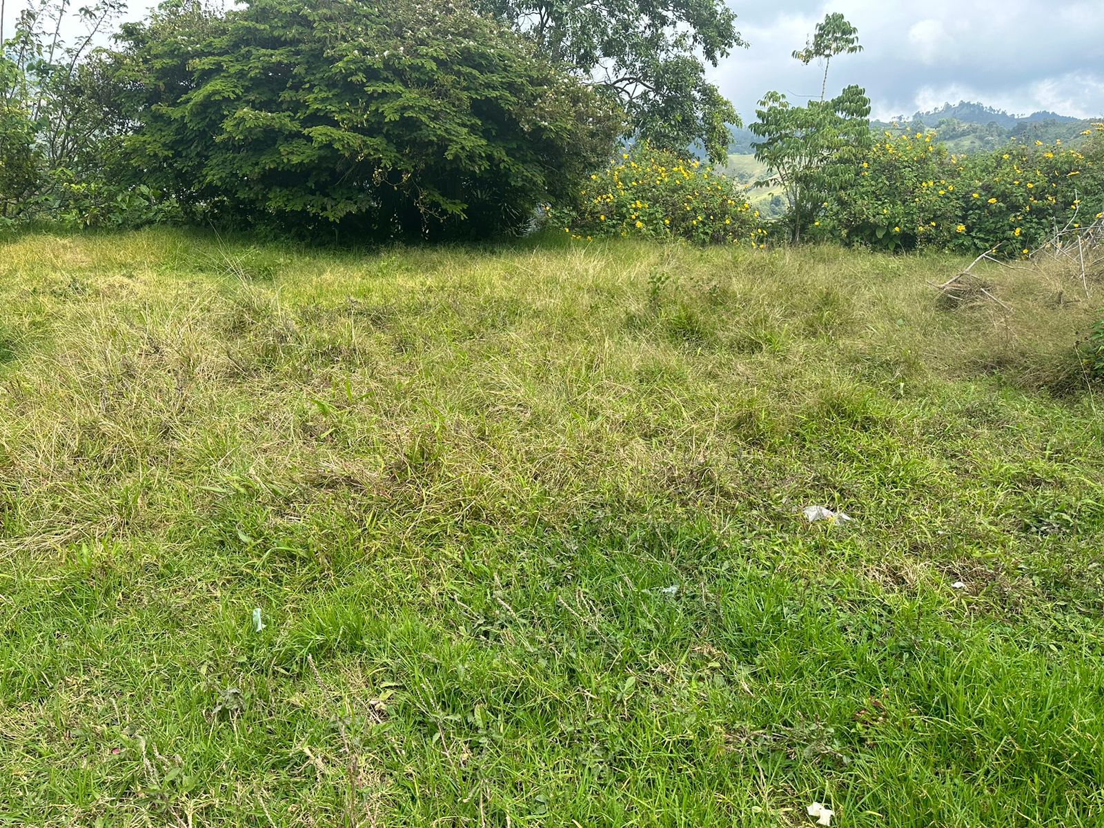 FINCA EN VENTA SECTOR VEREDA SANTO DOMINGO VILLAMARIA