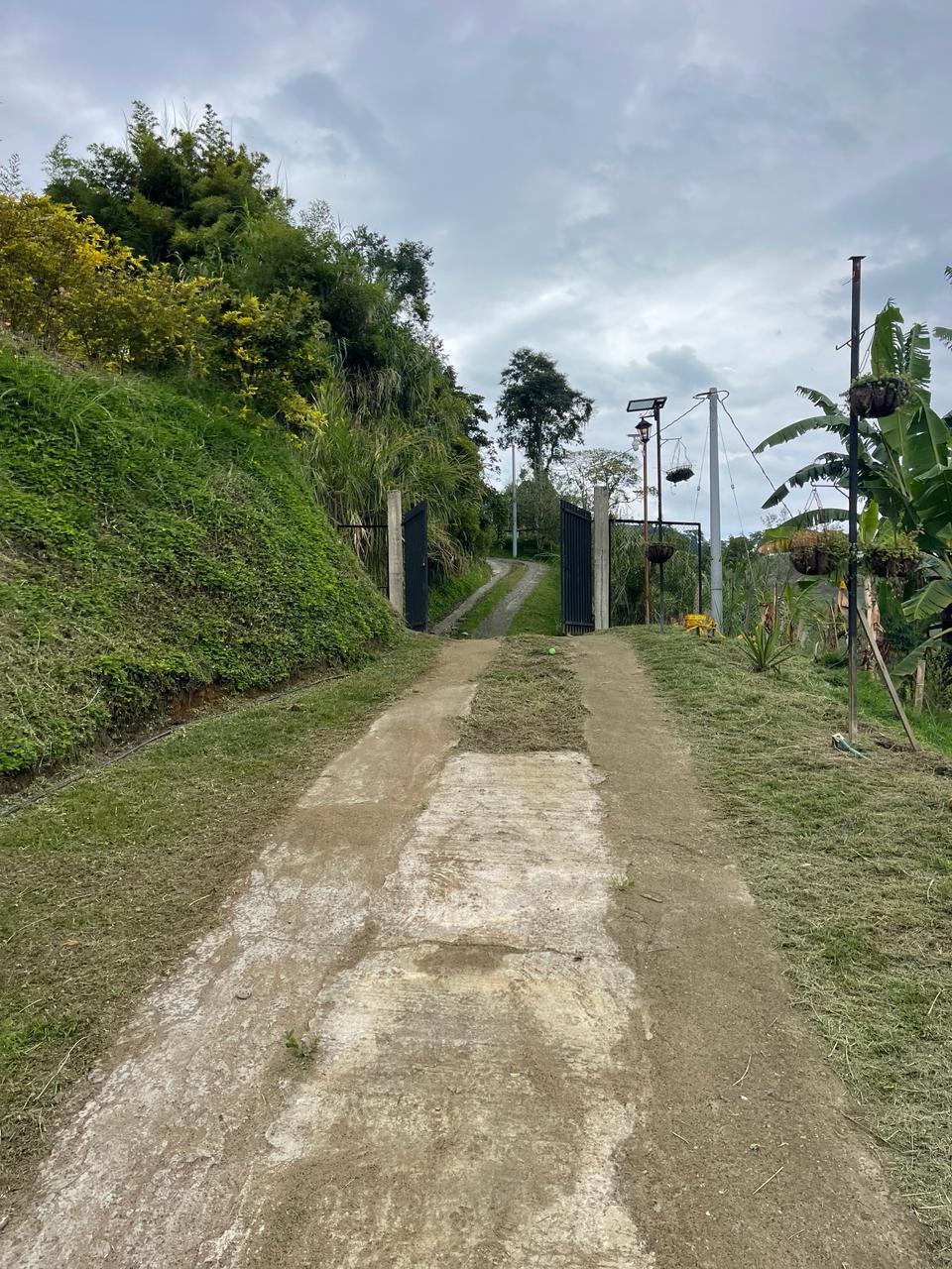 FINCA EN VENTA ALTO DEL NARANJO