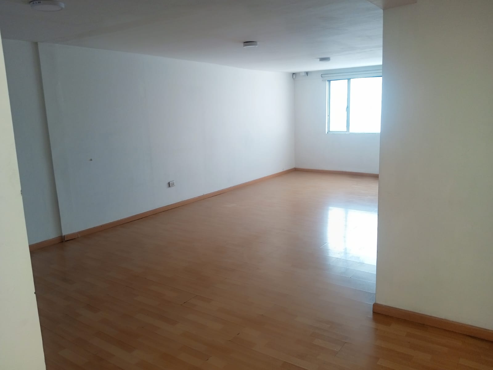 ARRIENDO LOCAL SECTOR AVENIDA SANTANDER
