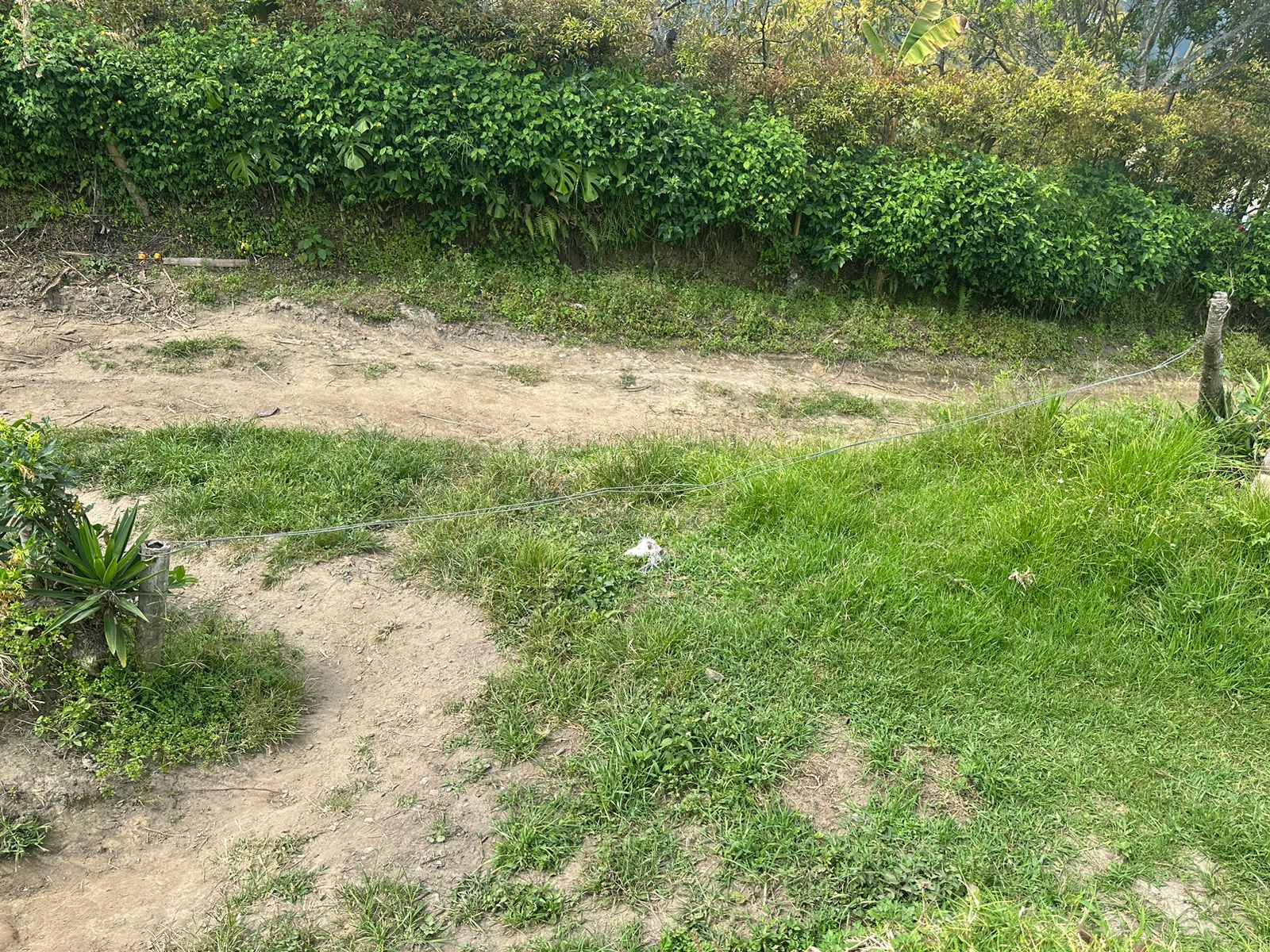 FINCA EN VENTA SECTOR VEREDA SANTO DOMINGO VILLAMARIA