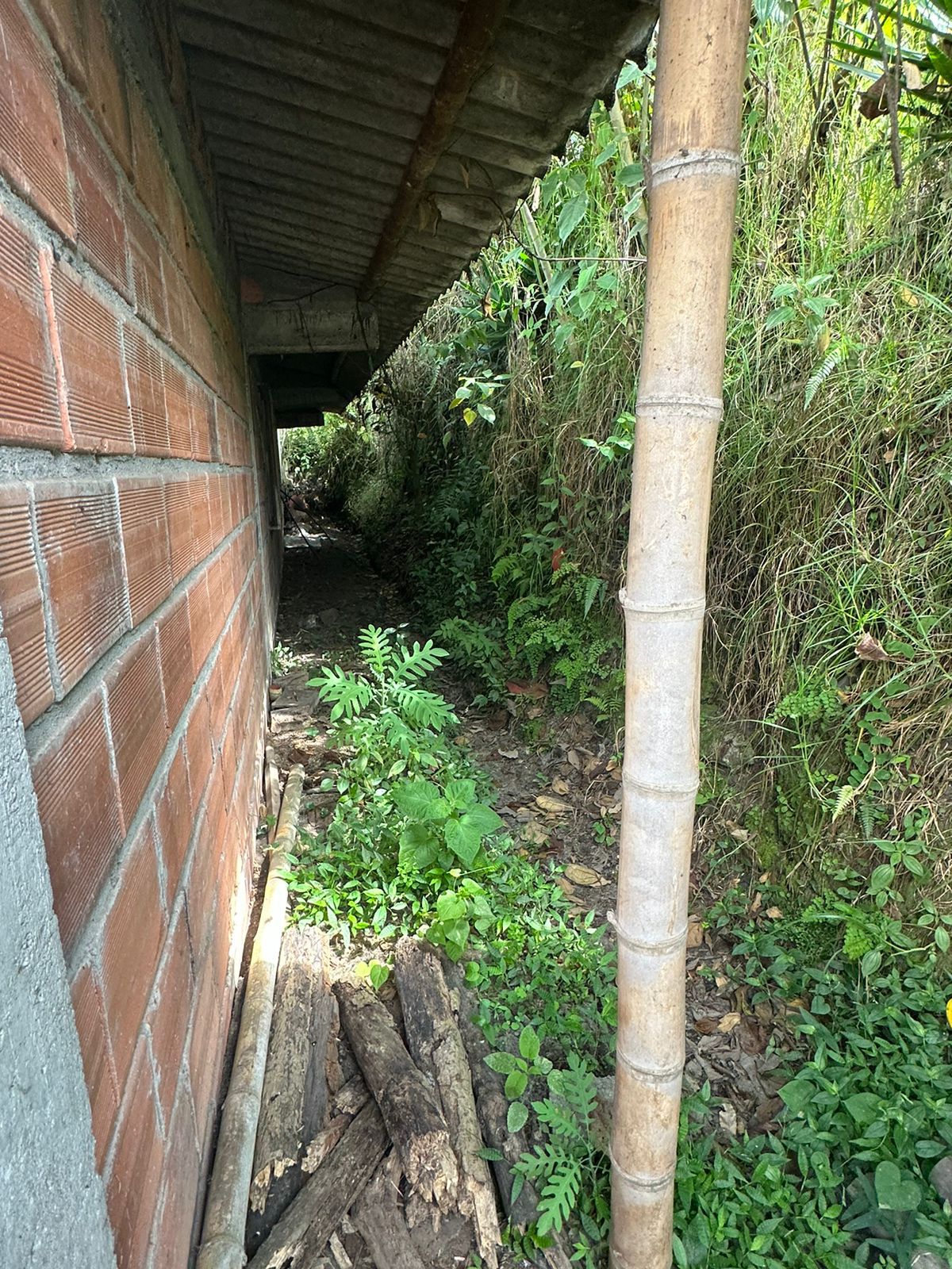 FINCA EN VENTA SECTOR VEREDA SANTO DOMINGO VILLAMARIA
