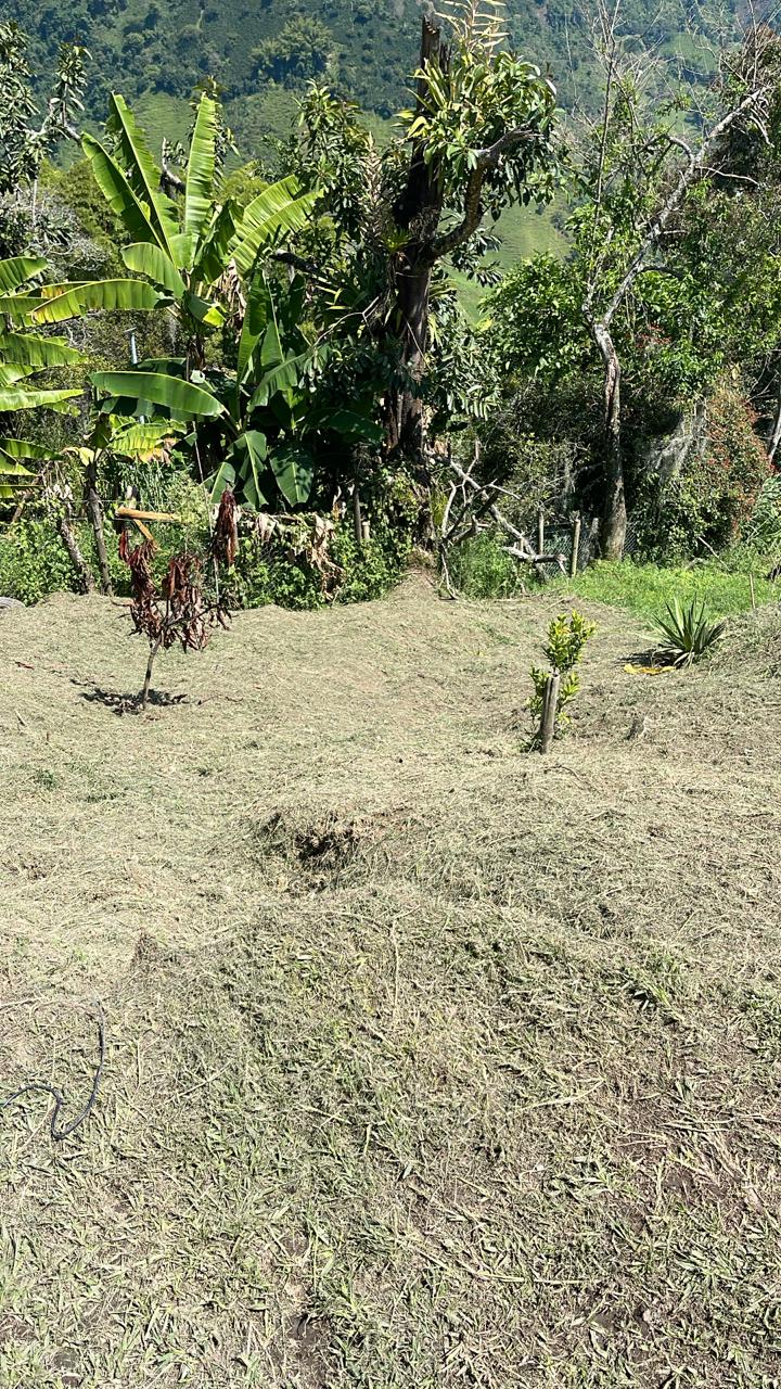 FINCA EN VENTA ALTO DEL NARANJO