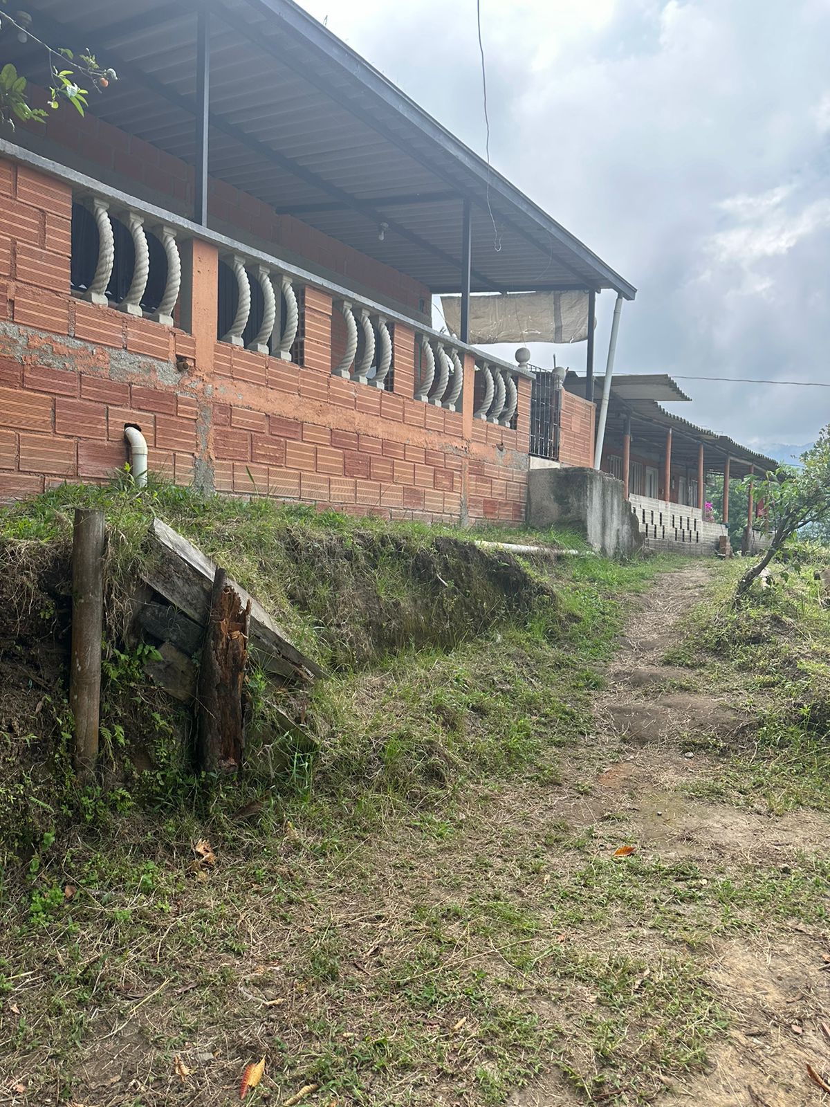 FINCA EN VENTA SECTOR VEREDA SANTO DOMINGO VILLAMARIA