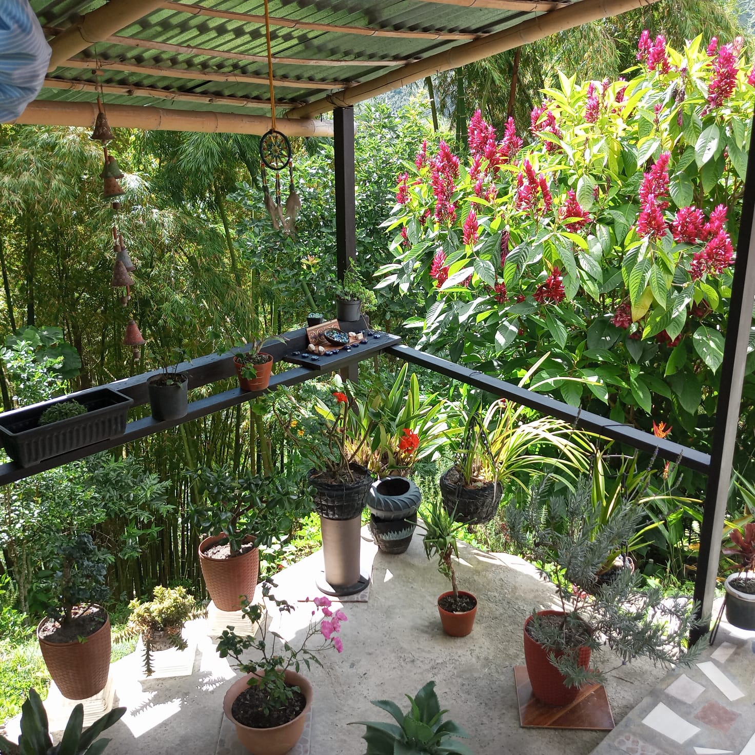 VENTA DE FINCA SECTOR LA CUCHILLA DEL SALADO