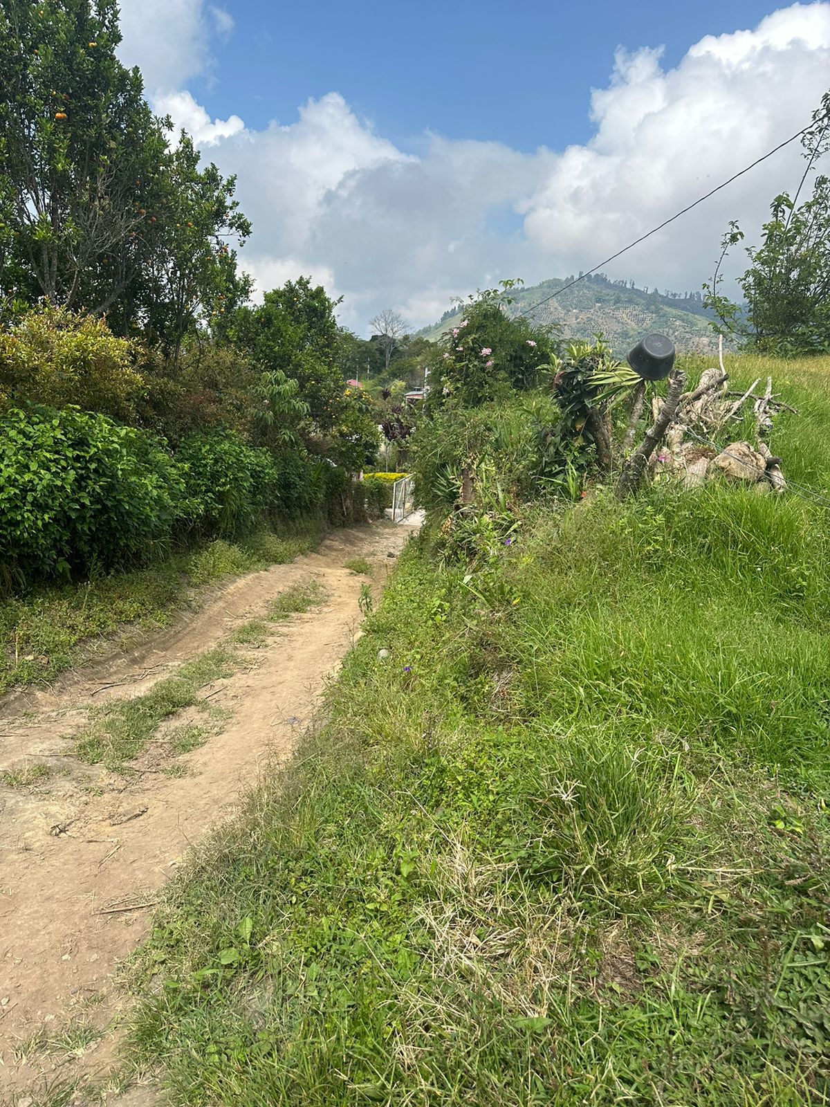 FINCA EN VENTA SECTOR VEREDA SANTO DOMINGO VILLAMARIA