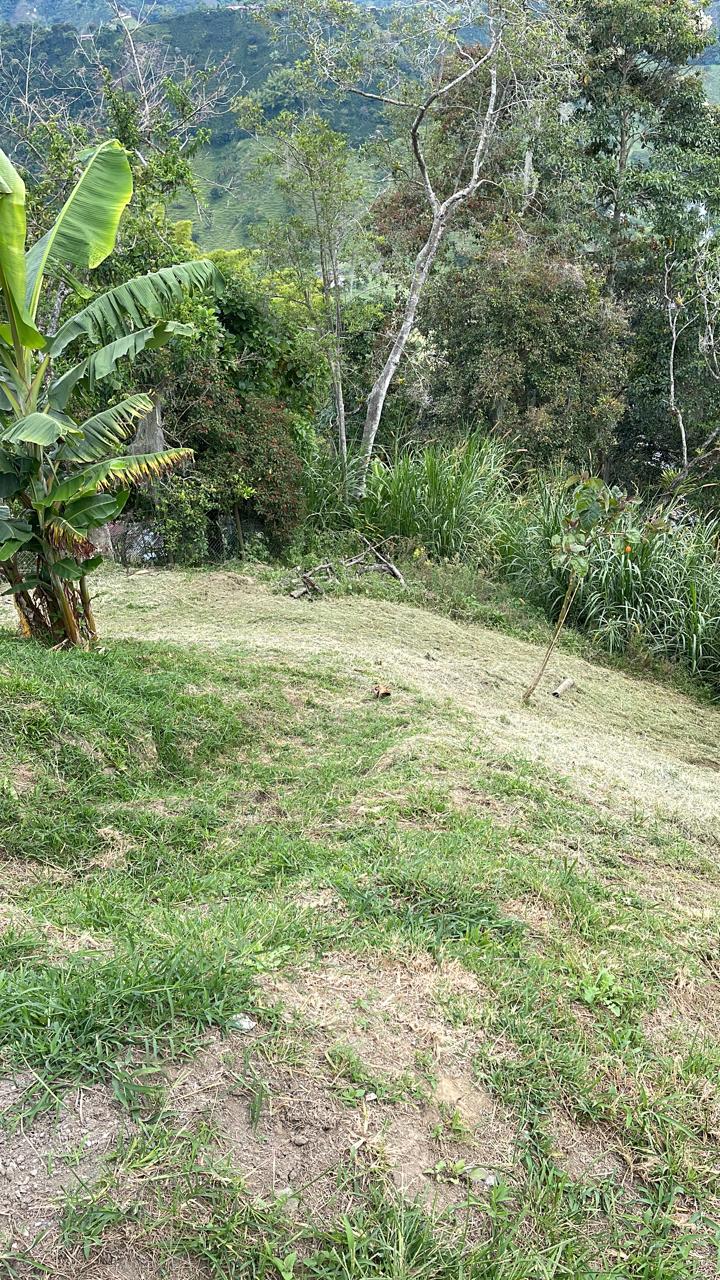 FINCA EN VENTA ALTO DEL NARANJO