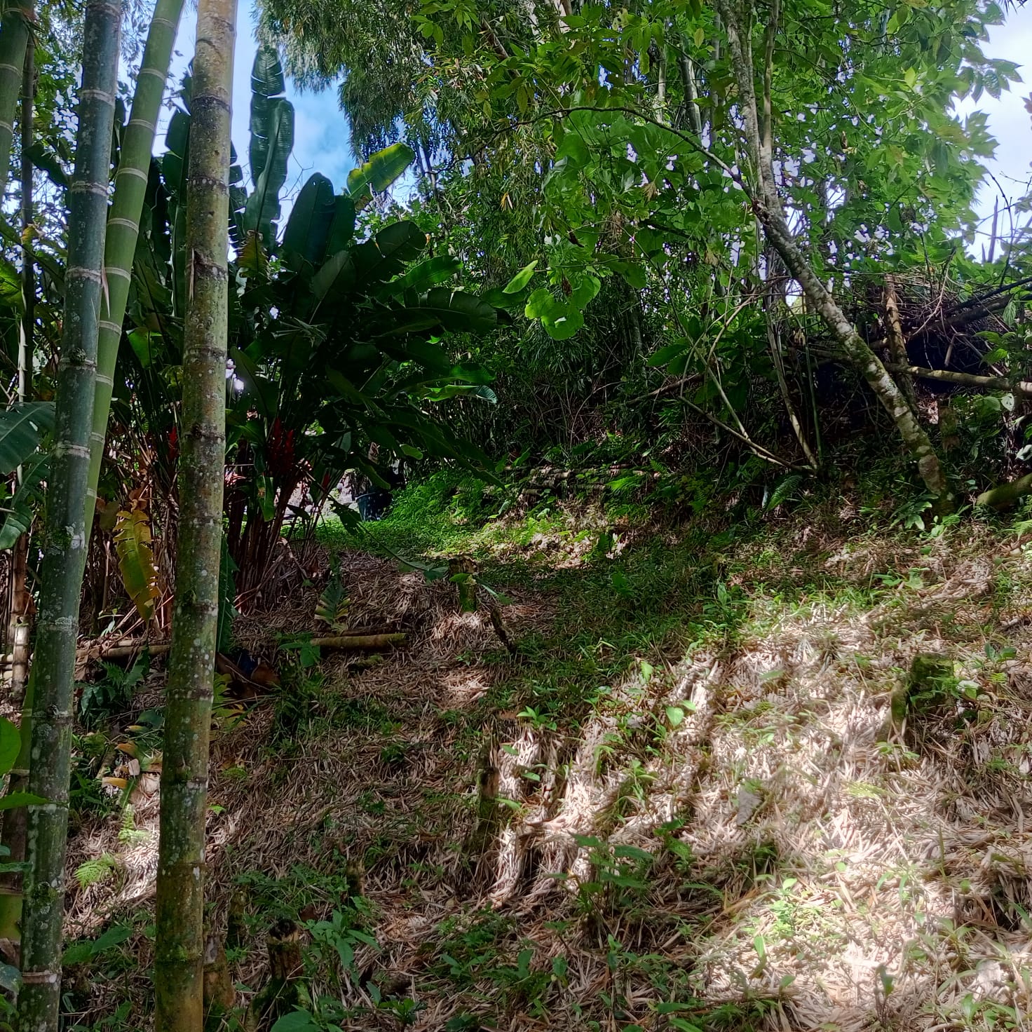 VENTA DE FINCA SECTOR LA CUCHILLA DEL SALADO