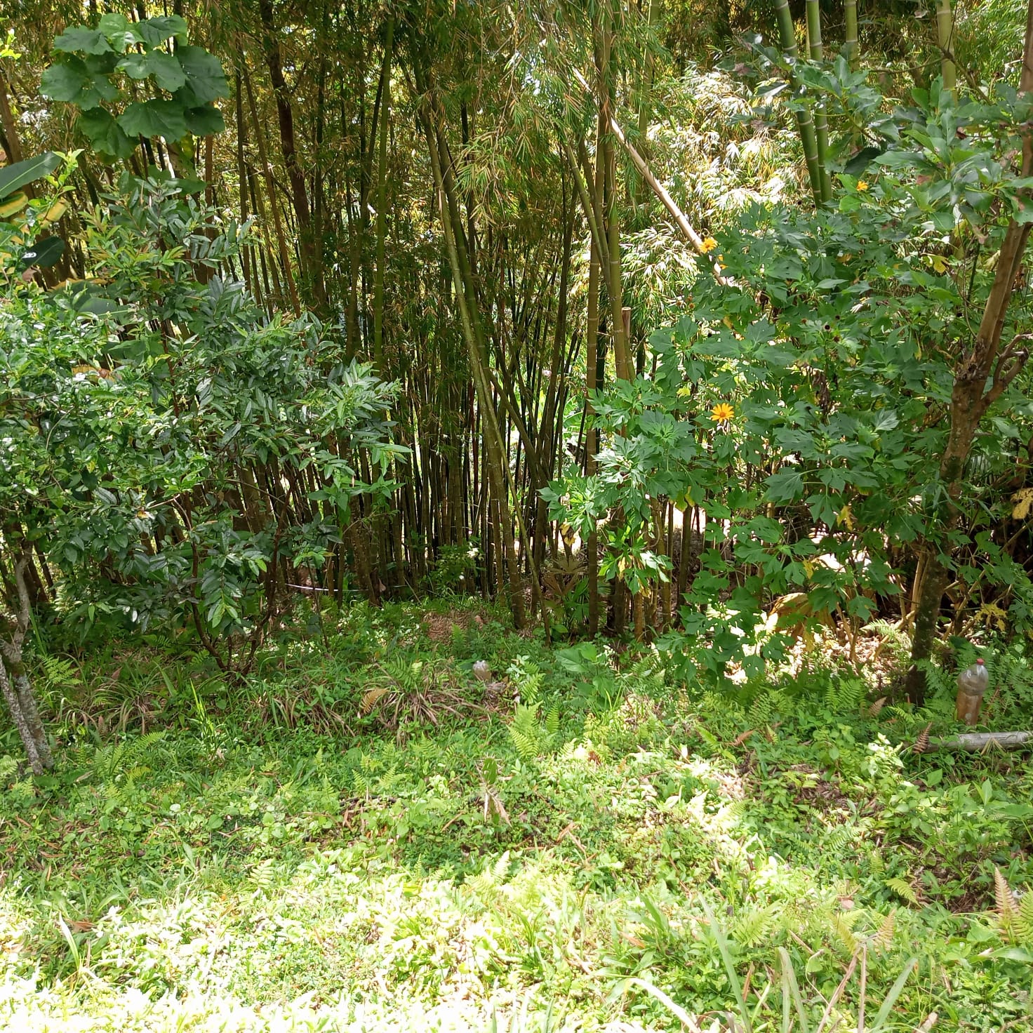 VENTA DE FINCA SECTOR LA CUCHILLA DEL SALADO