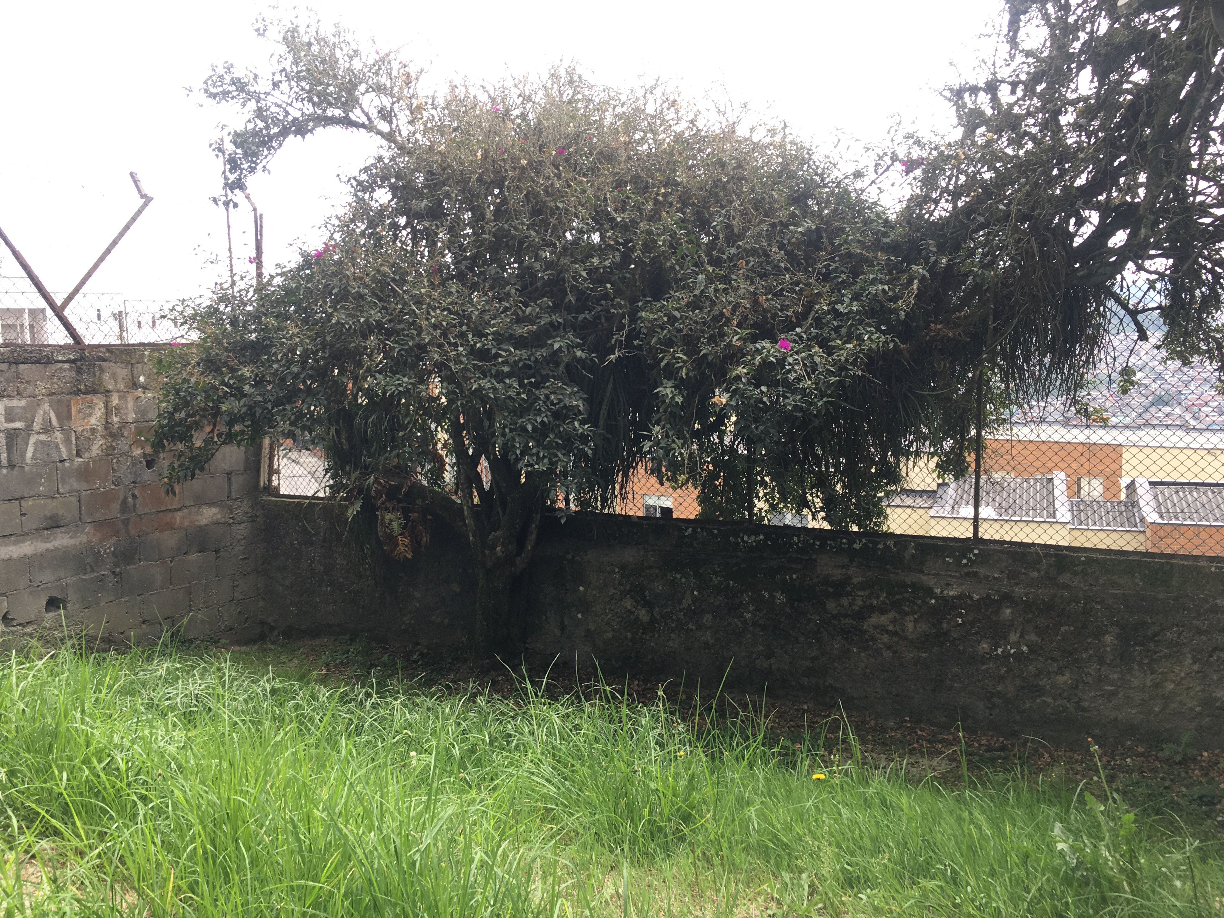 CASA EN VENTA  BIEN UBICADA EN LA ALTA LEONORA