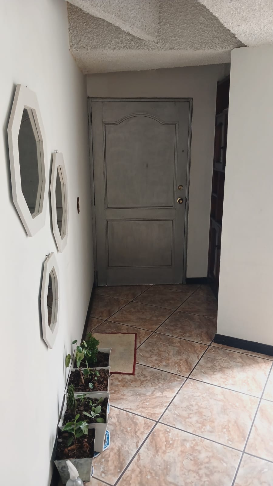 VENTA APARTAMENTO SECTOR LA ARGENTINA