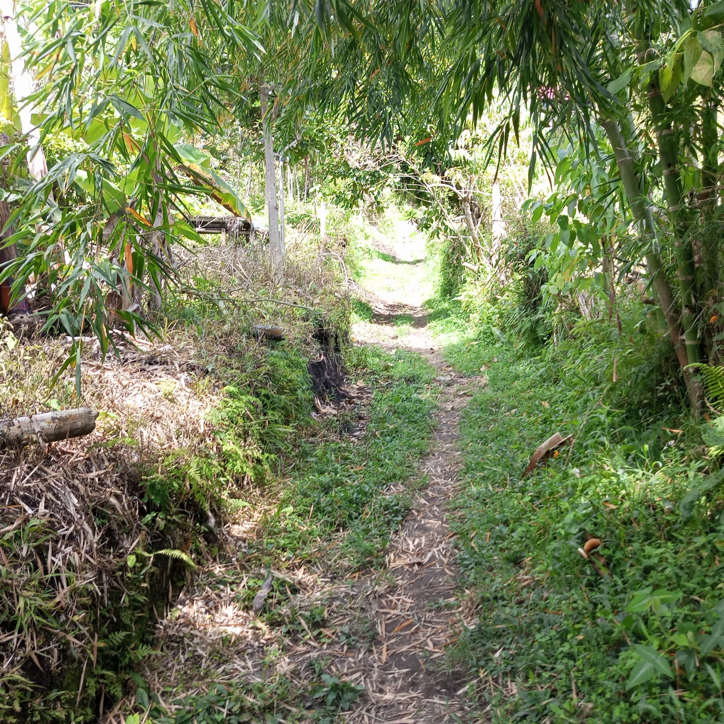 VENTA DE FINCA SECTOR LA CUCHILLA DEL SALADO