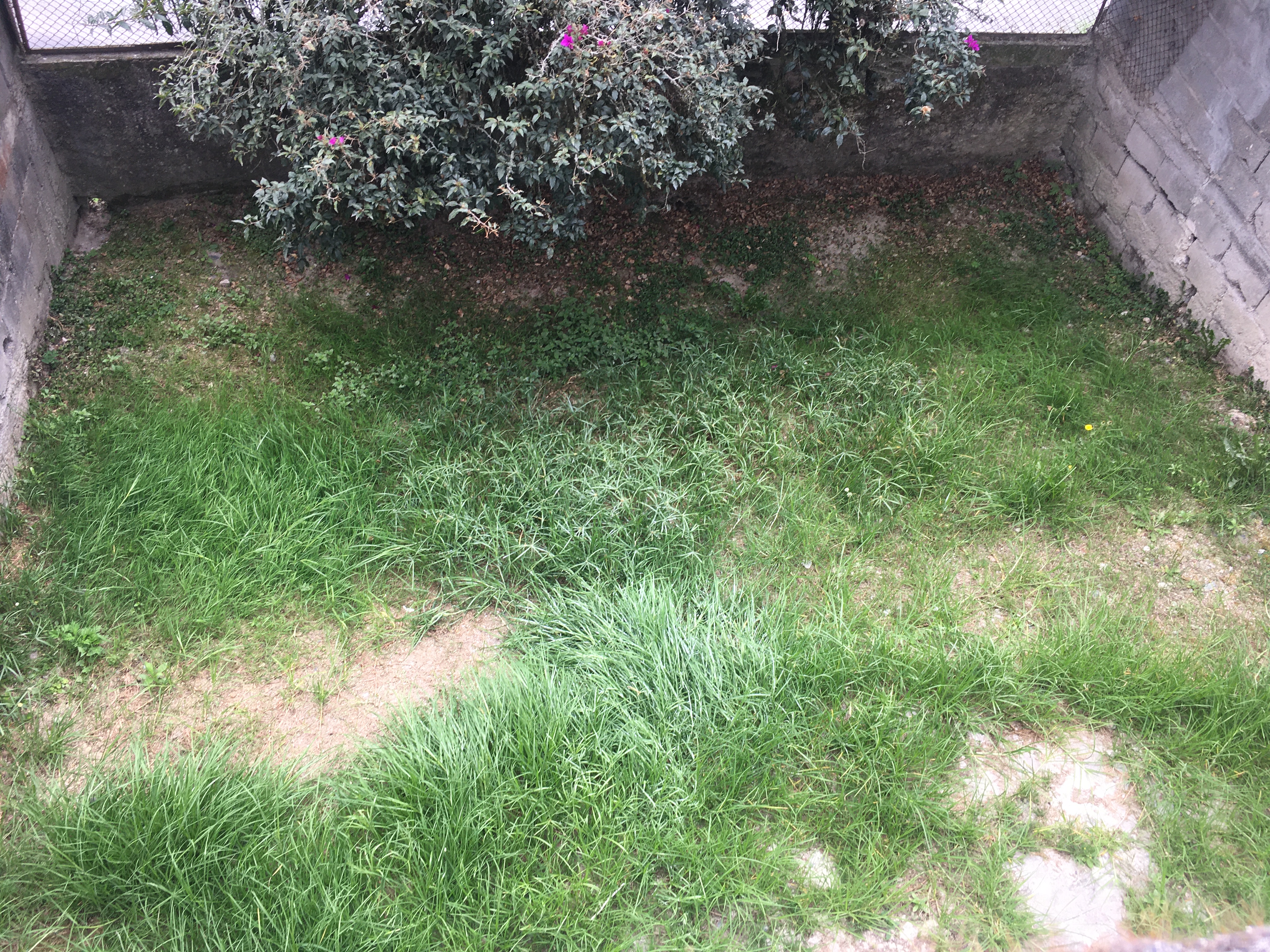 CASA EN VENTA  BIEN UBICADA EN LA ALTA LEONORA