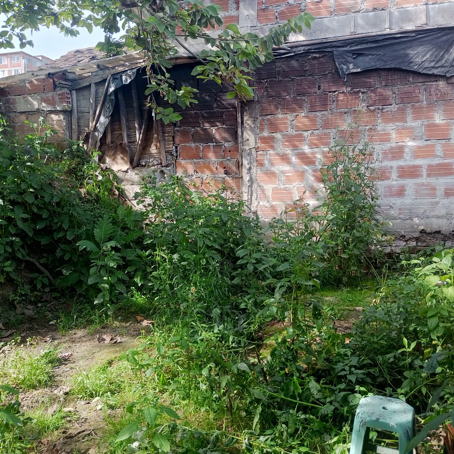VENTA CASA LAS AMERICAS CON RENTAS