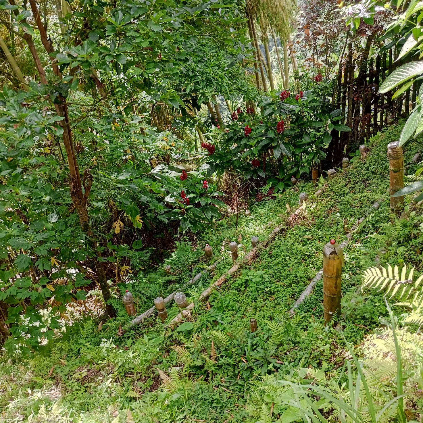 VENTA DE FINCA SECTOR LA CUCHILLA DEL SALADO